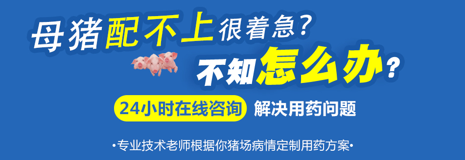 配不上.jpg