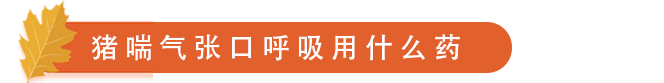 qq.png