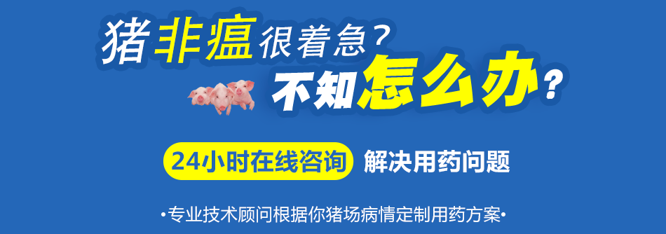 非瘟.png
